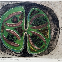 Anupam Sud, Seed, Colour Trial, Collograph, 24.5 x 32.5 cms, 1968,
